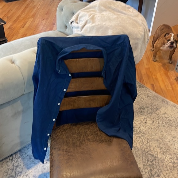 Bonobos - Picture 4 of 4